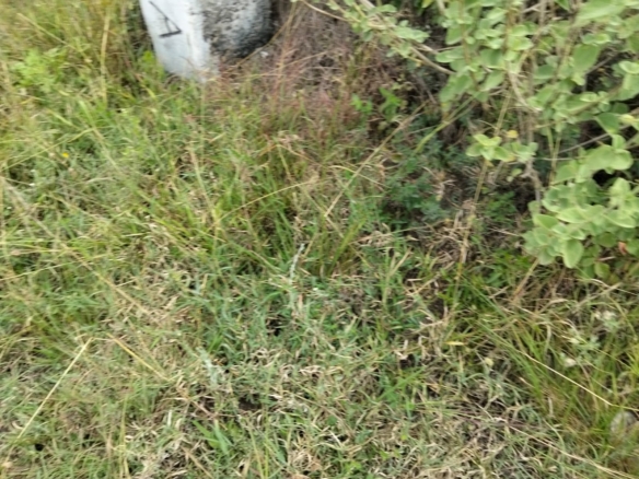 Prime 50-acre road frontage land for sale in Kitengela Kisaju ideal for industrial, commercial, residential estate, and mixed-use development with ready title deed.