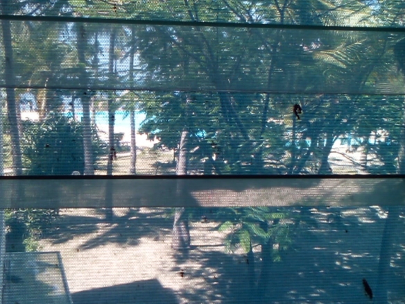 Beachfront 1 bedroom apartment for sale in Oasis Village Malindi with ocean and pool views