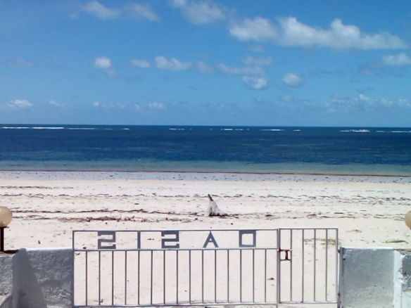 Beachfront 1 bedroom apartment for sale in Oasis Village Malindi with ocean and pool views