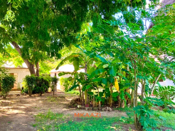 Partially furnished home for rent in P.K Estate Malindi with private pool, outdoor sitting area, SQ, and storage near Lamu Road.