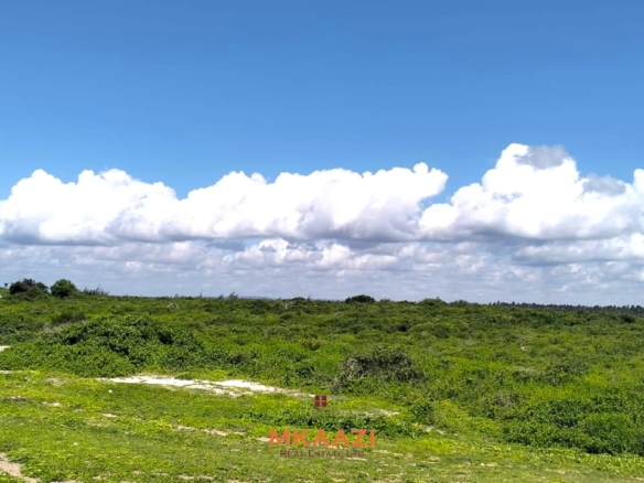 45-acre beachfront land for sale in Uyombo Kenya with panoramic ocean views and luxury resort development potential.