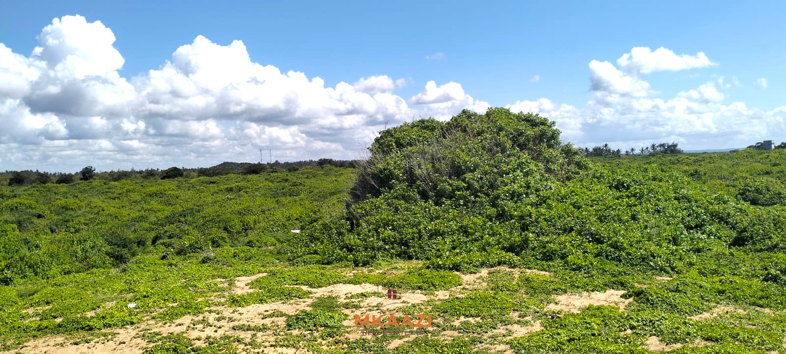 45-acre beachfront land for sale in Uyombo Kenya with panoramic ocean views and luxury resort development potential.