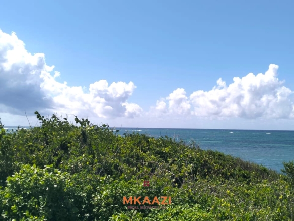 45-acre beachfront land for sale in Uyombo Kenya with panoramic ocean views and luxury resort development potential.