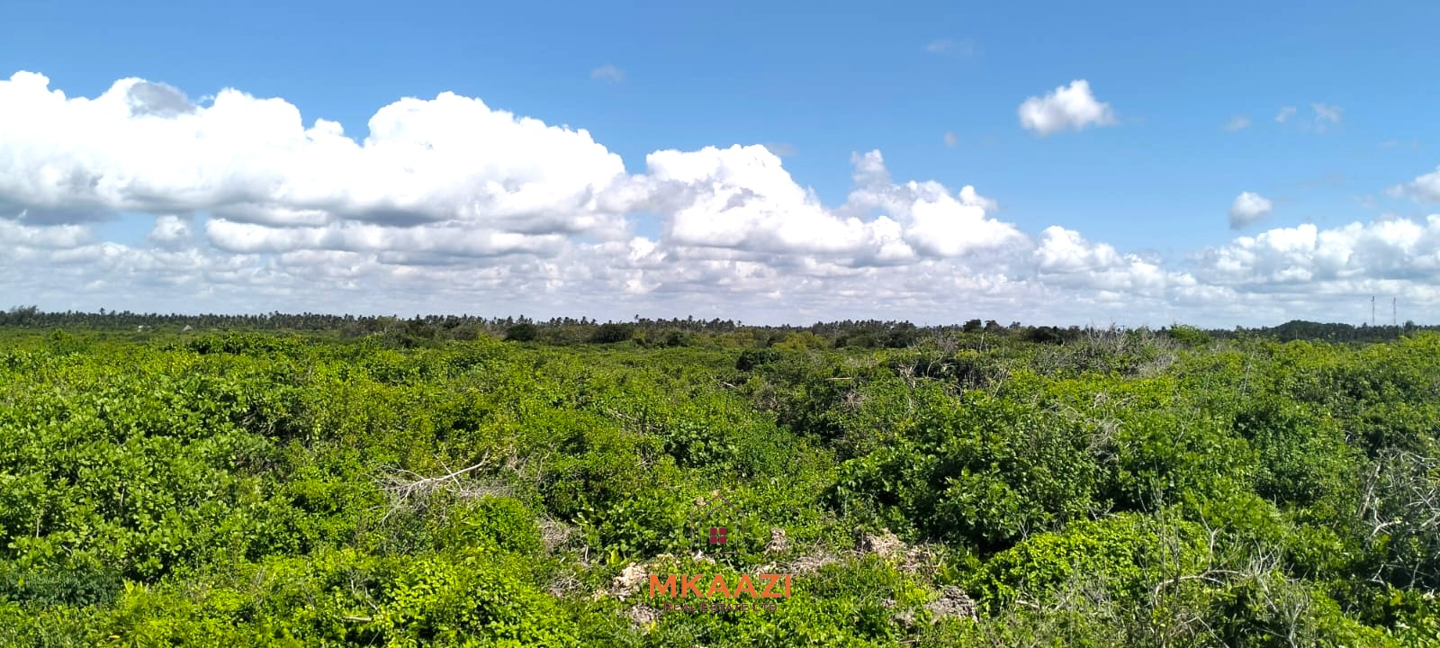 3-acre cliffside beachfront land for sale in Uyombo with sandy beach access and panoramic Indian Ocean views.