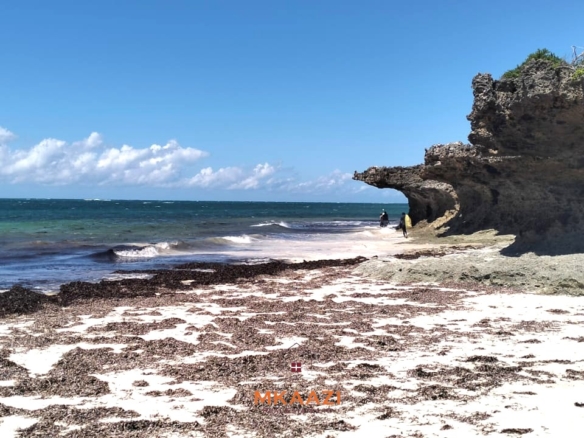 5-acre beachfront land for sale in Uyombo featuring sandy beachfront access, freehold title deed, coral bedrock foundation, and prime investment potential along Kenya’s North Coast.