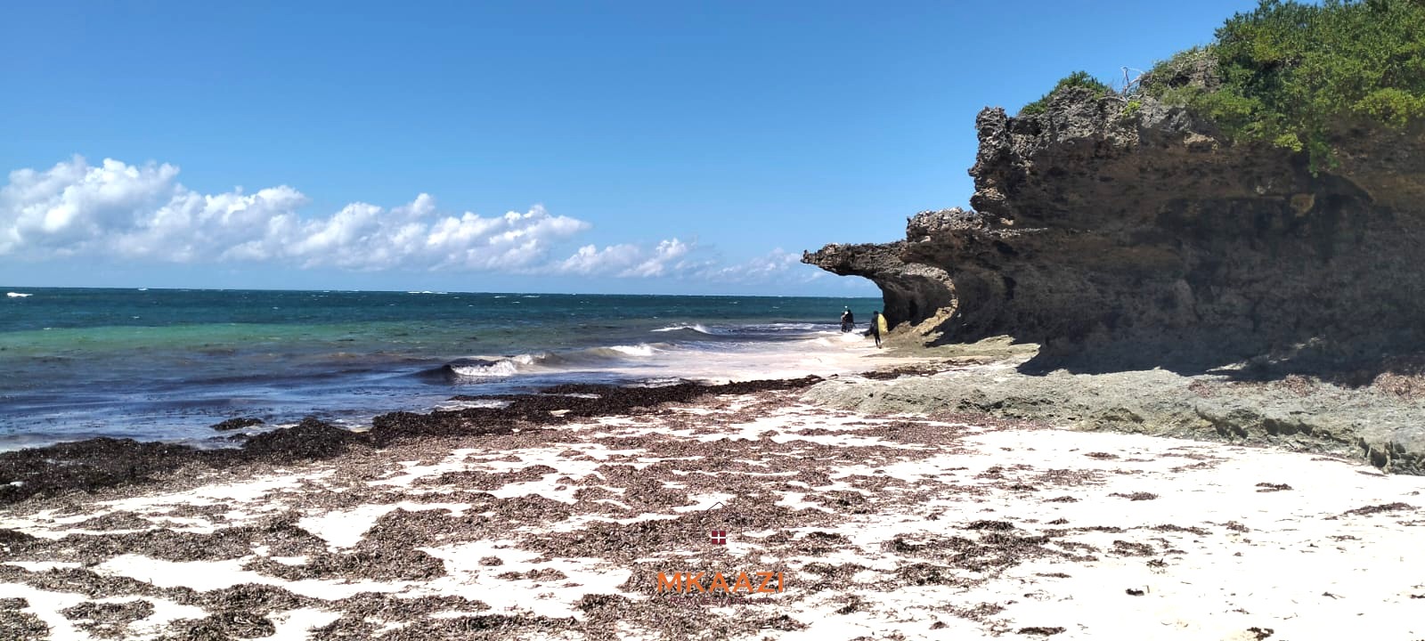 5-acre beachfront land for sale in Uyombo featuring sandy beachfront access, freehold title deed, coral bedrock foundation, and prime investment potential along Kenya’s North Coast.