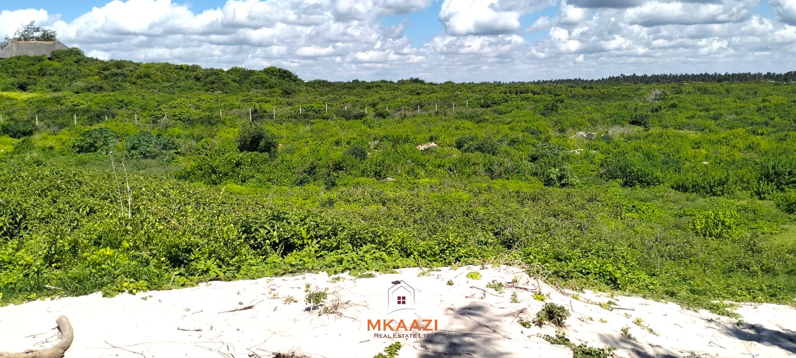 5-acre beachfront land for sale in Uyombo featuring sandy beachfront access, freehold title deed, coral bedrock foundation, and prime investment potential along Kenya’s North Coast.