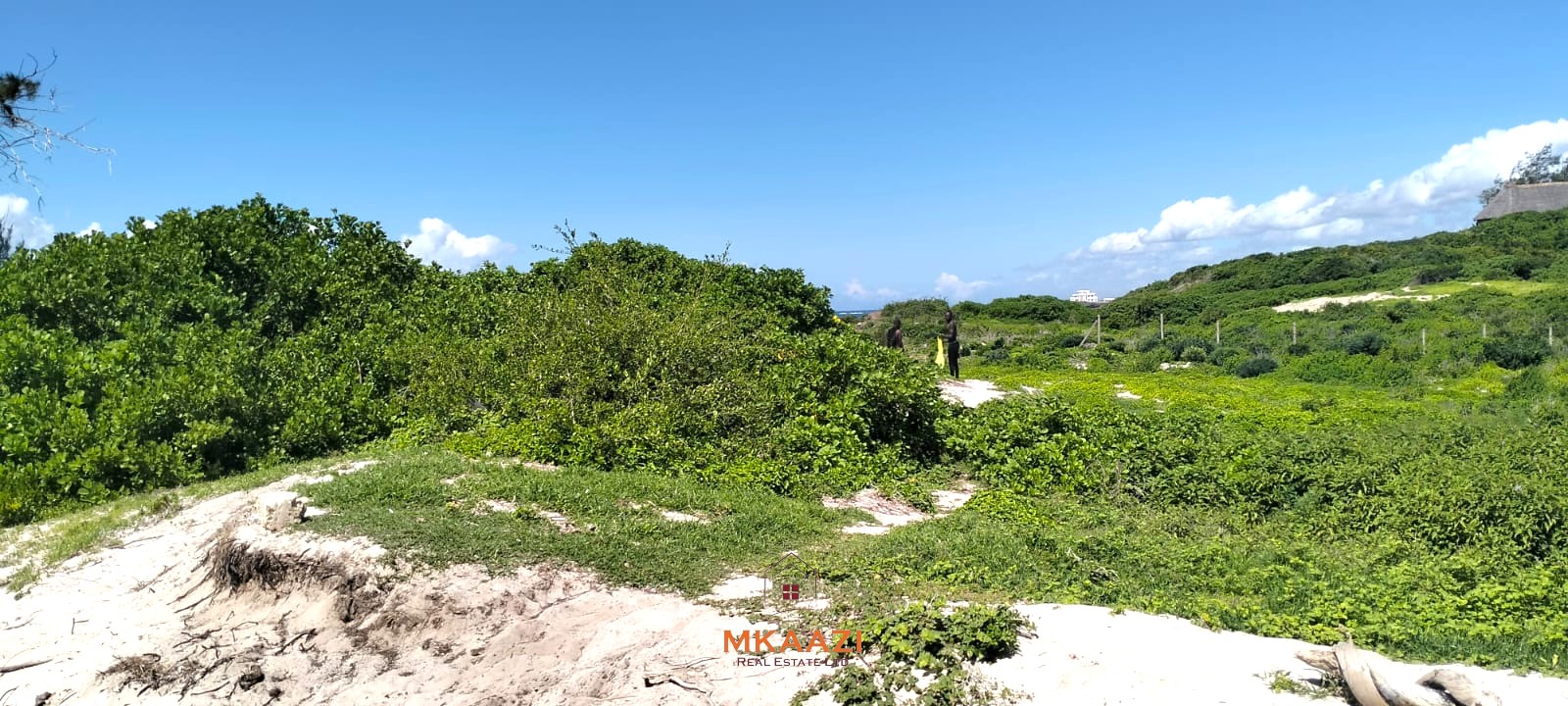 5-acre beachfront land for sale in Uyombo featuring sandy beachfront access, freehold title deed, coral bedrock foundation, and prime investment potential along Kenya’s North Coast.
