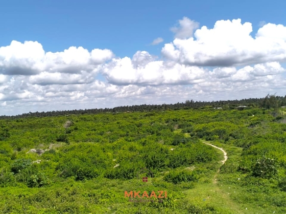 5-acre beachfront land for sale in Uyombo featuring sandy beachfront access, freehold title deed, coral bedrock foundation, and prime investment potential along Kenya’s North Coast.