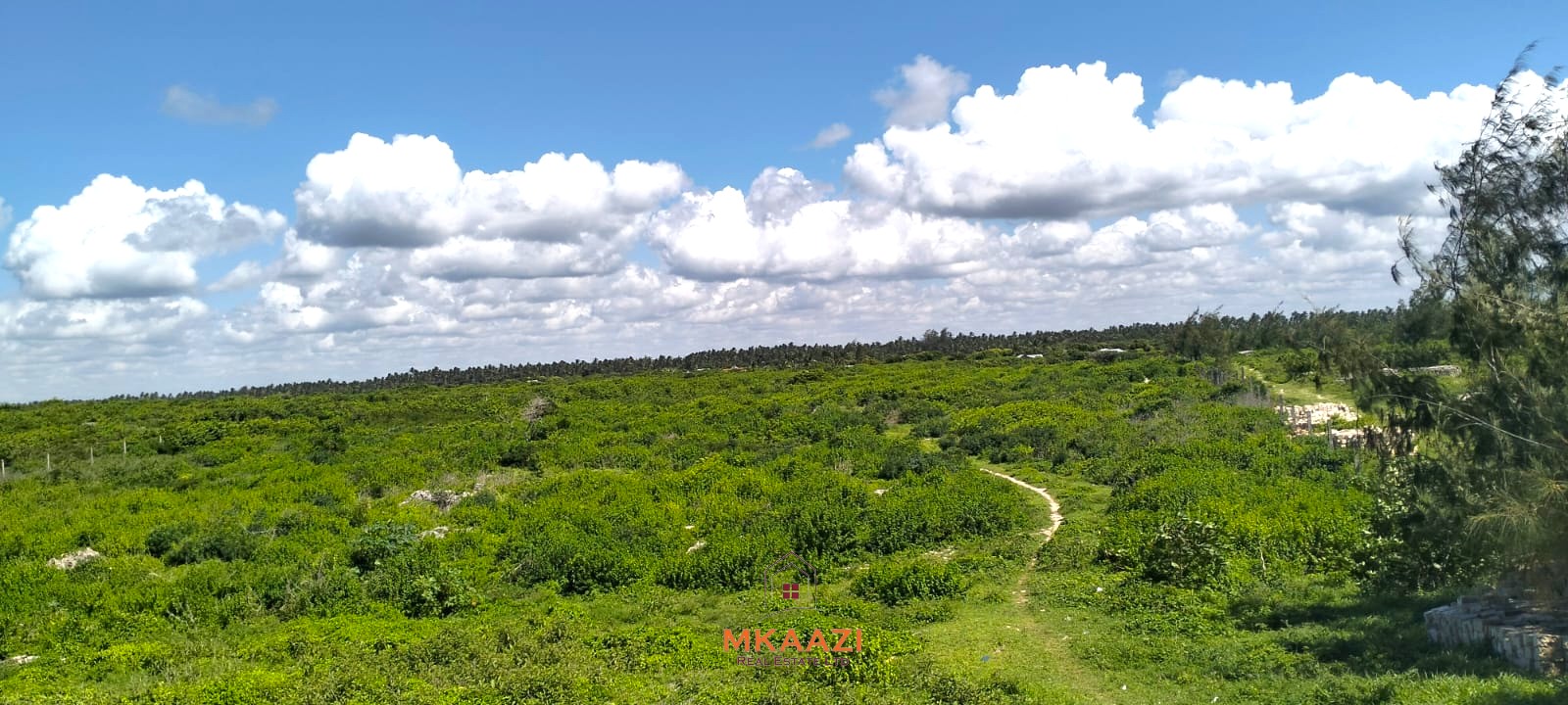 5-acre beachfront land for sale in Uyombo featuring sandy beachfront access, freehold title deed, coral bedrock foundation, and prime investment potential along Kenya’s North Coast.