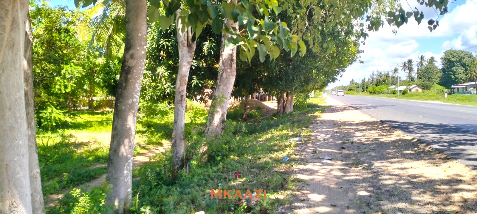 2-acre highway frontage property for sale in Matsangoni with house, shops, mature trees, and commercial investment potential.