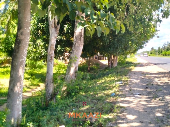 2-acre highway frontage property for sale in Matsangoni with house, shops, mature trees, and commercial investment potential.
