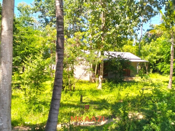 2-acre highway frontage property for sale in Matsangoni with house, shops, mature trees, and commercial investment potential.