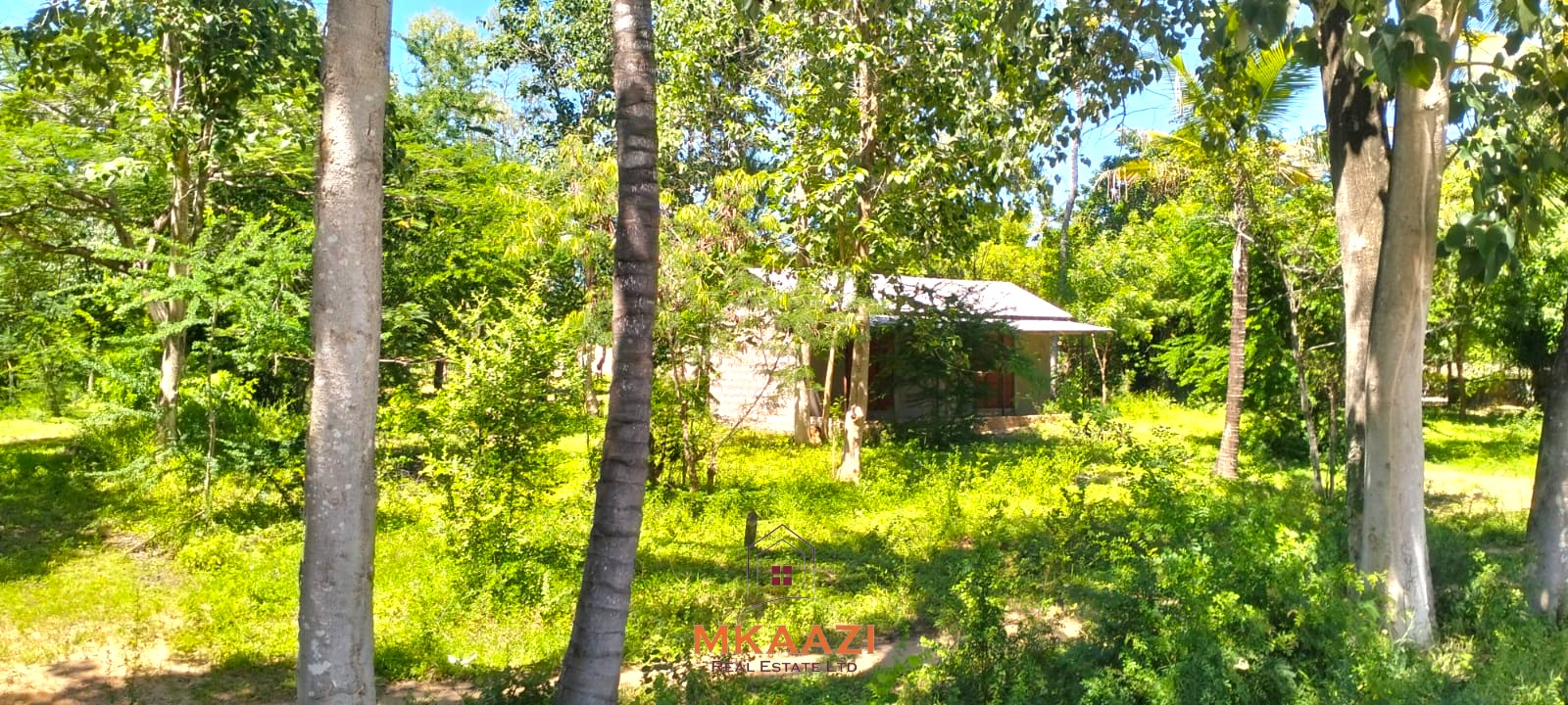 2-acre highway frontage property for sale in Matsangoni with house, shops, mature trees, and commercial investment potential.