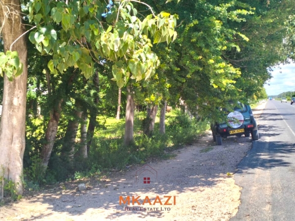 2-acre highway frontage property for sale in Matsangoni with house, shops, mature trees, and commercial investment potential.
