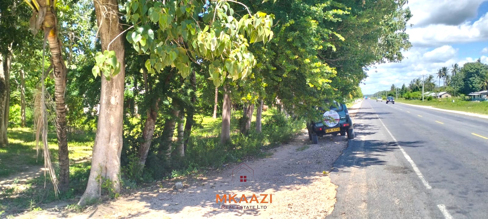 2-acre highway frontage property for sale in Matsangoni with house, shops, mature trees, and commercial investment potential.
