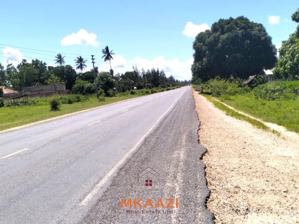 2-acre highway frontage property for sale in Matsangoni with house, shops, mature trees, and commercial investment potential.