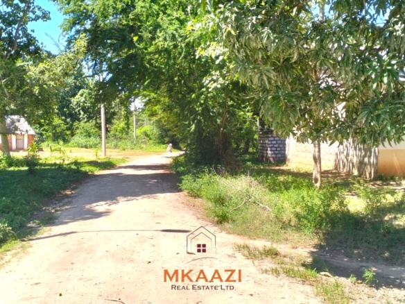 2-acre highway frontage property for sale in Matsangoni with house, shops, mature trees, and commercial investment potential.