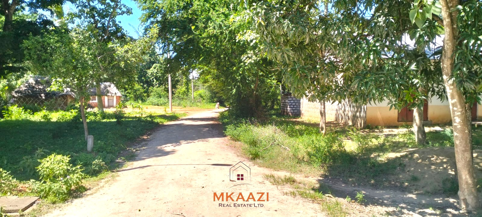 2-acre highway frontage property for sale in Matsangoni with house, shops, mature trees, and commercial investment potential.