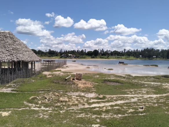 31.5-acre freehold land for sale in Roka Kilifi near a natural lake with mature coconut, mango, and cashew trees, water, electricity, and dual access roads.