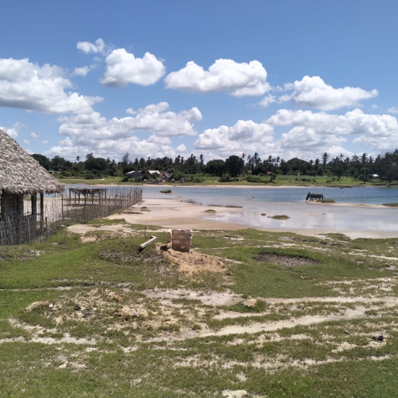 31.5-acre freehold land for sale in Roka Kilifi near a natural lake with mature coconut, mango, and cashew trees, water, electricity, and dual access roads.
