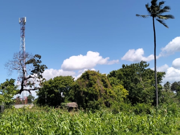 31.5-acre freehold land for sale in Roka Kilifi near a natural lake with mature coconut, mango, and cashew trees, water, electricity, and dual access roads.