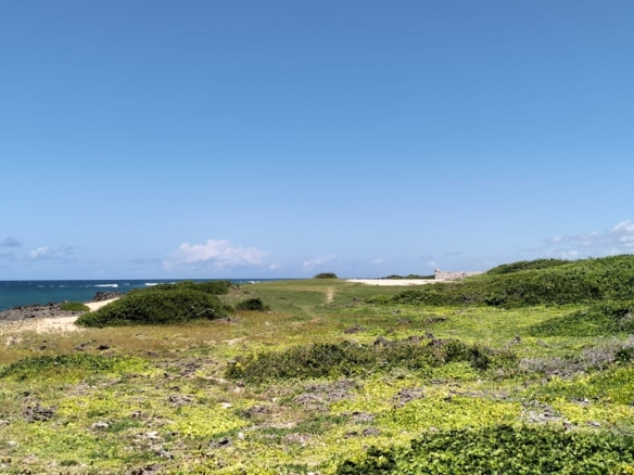 10-acre beachfront land for sale in Maweni Matsangoni Uyombo with freehold title, coral bedrock, ocean views, and subdivision potential.