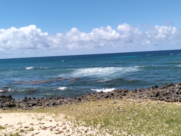 10-acre beachfront land for sale in Maweni Matsangoni Uyombo with freehold title, coral bedrock, ocean views, and subdivision potential.