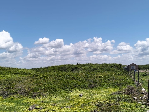 10-acre beachfront land for sale in Maweni Matsangoni Uyombo with freehold title, coral bedrock, ocean views, and subdivision potential.