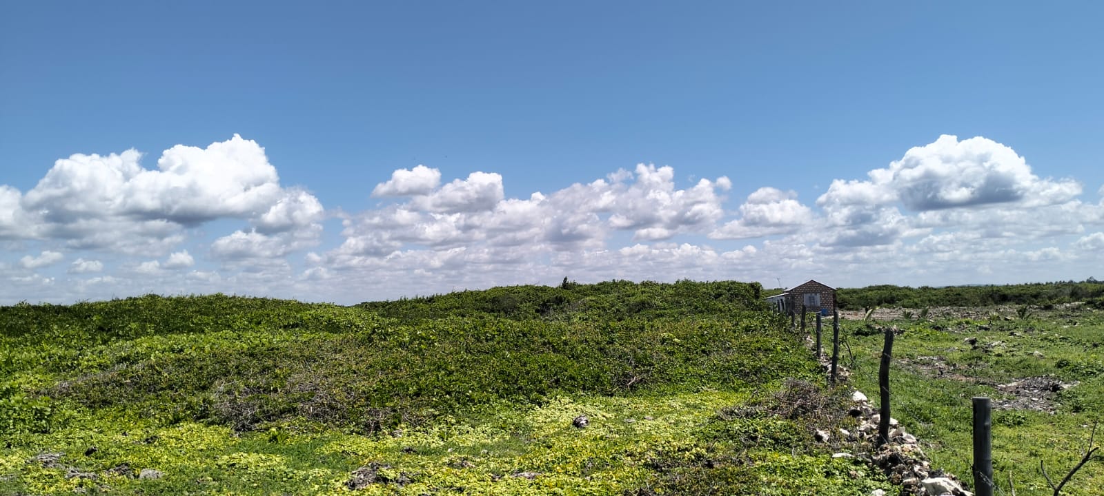 10 Acres Beachfront for Sale in Maweni Uyombo 10-acre beachfront land for sale in Maweni Matsangoni Uyombo with freehold title, coral bedrock, ocean views, and subdivision potential.