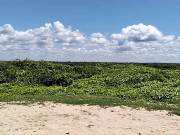 10-acre beachfront land for sale in Maweni Matsangoni Uyombo with freehold title, coral bedrock, ocean views, and subdivision potential.