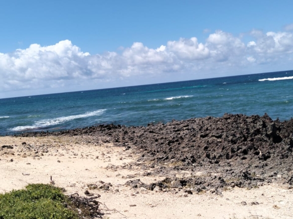 10-acre beachfront land for sale in Maweni Matsangoni Uyombo with freehold title, coral bedrock, ocean views, and subdivision potential.
