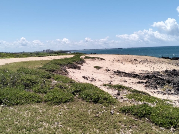 10-acre beachfront land for sale in Maweni Matsangoni Uyombo with freehold title, coral bedrock, ocean views, and subdivision potential.