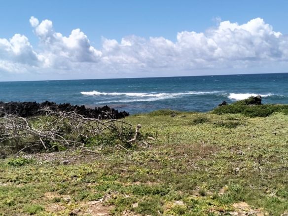 10-acre beachfront land for sale in Maweni Matsangoni Uyombo with freehold title, coral bedrock, ocean views, and subdivision potential.