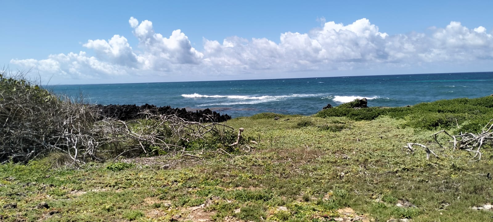 10 Acres Beachfront for Sale in Maweni Uyombo 10-acre beachfront land for sale in Maweni Matsangoni Uyombo with freehold title, coral bedrock, ocean views, and subdivision potential.