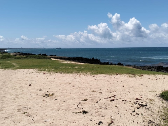 10-acre beachfront land for sale in Maweni Matsangoni Uyombo with freehold title, coral bedrock, ocean views, and subdivision potential.