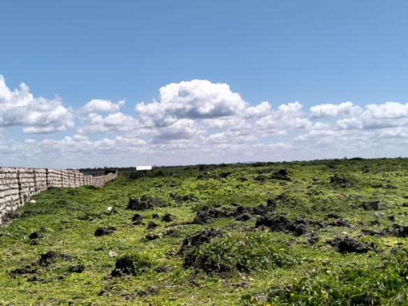 10-acre beachfront land for sale in Maweni Matsangoni Uyombo with freehold title, coral bedrock, ocean views, and subdivision potential.