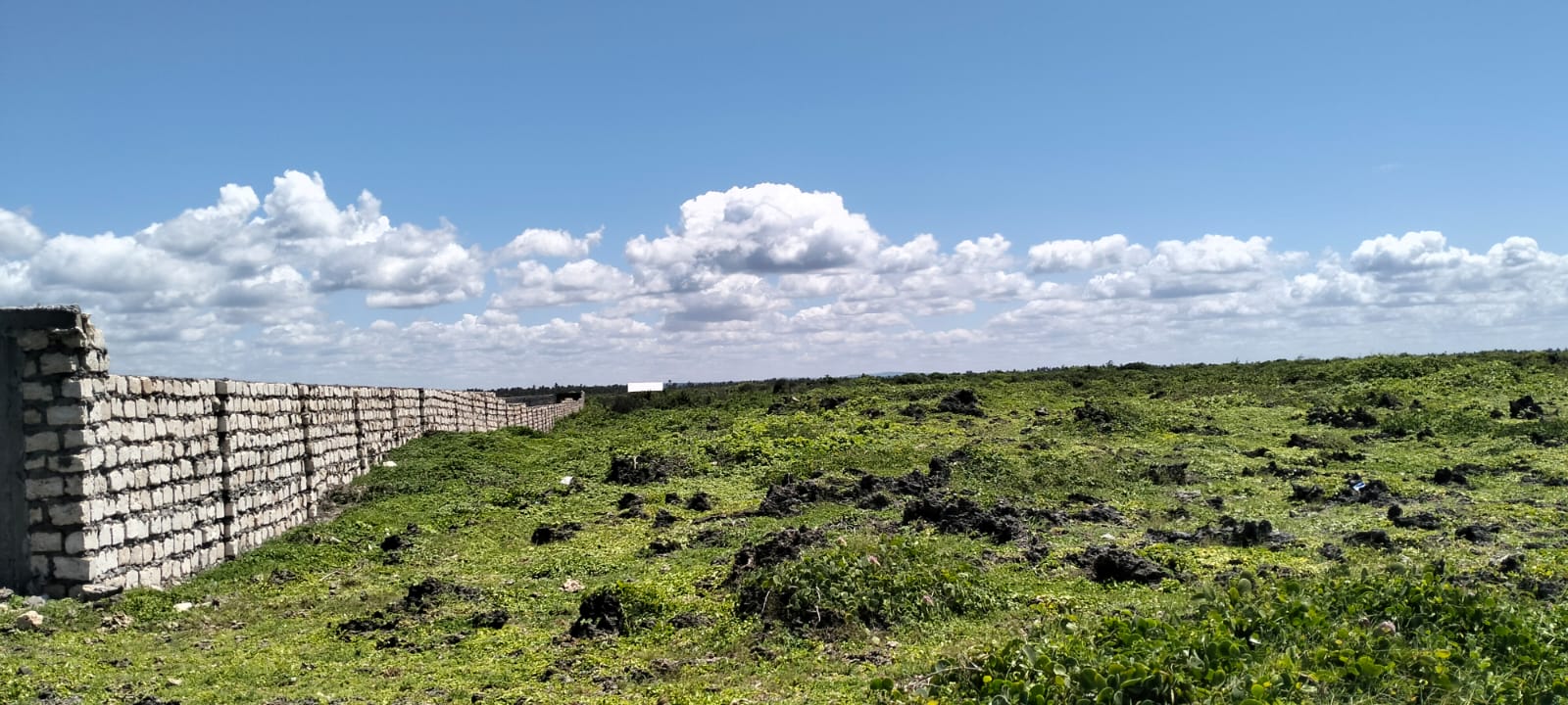 10 Acres Beachfront for Sale in Maweni Uyombo 10-acre beachfront land for sale in Maweni Matsangoni Uyombo with freehold title, coral bedrock, ocean views, and subdivision potential.