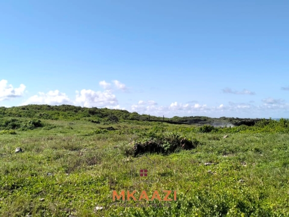 20-acre beachfront land for sale in Chumani featuring sandy beach access, gated and walled boundaries, coral bedrock foundation, and premium investment potential.