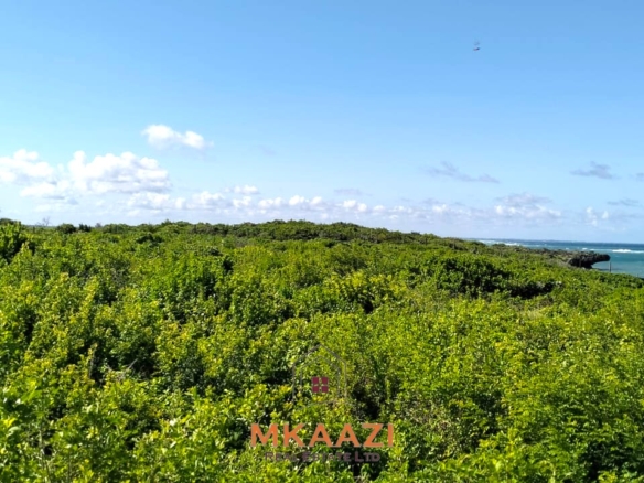 20-acre beachfront land for sale in Chumani featuring sandy beach access, gated and walled boundaries, coral bedrock foundation, and premium investment potential.
