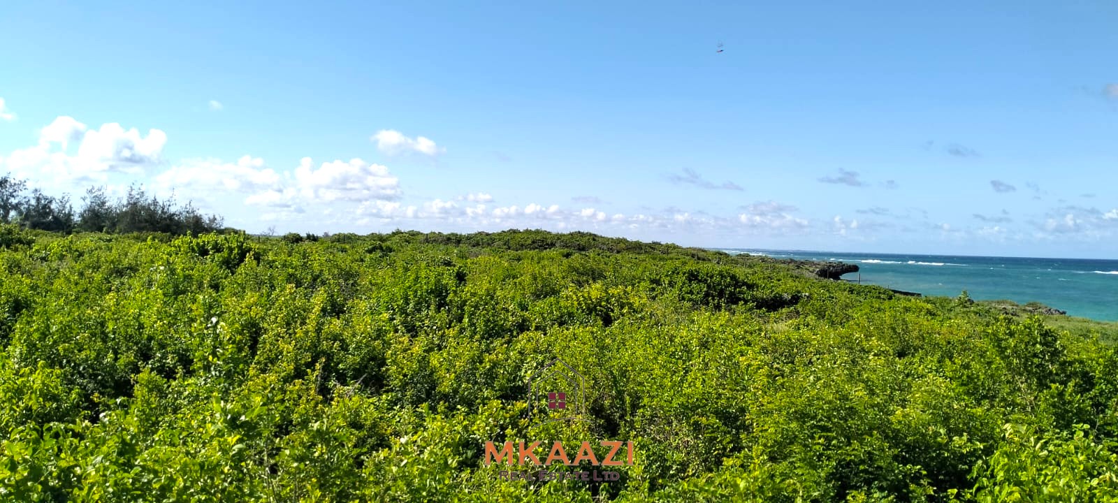 20-acre beachfront land for sale in Chumani featuring sandy beach access, gated and walled boundaries, coral bedrock foundation, and premium investment potential.