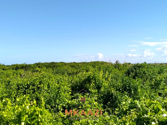 20-acre beachfront land for sale in Chumani featuring sandy beach access, gated and walled boundaries, coral bedrock foundation, and premium investment potential.
