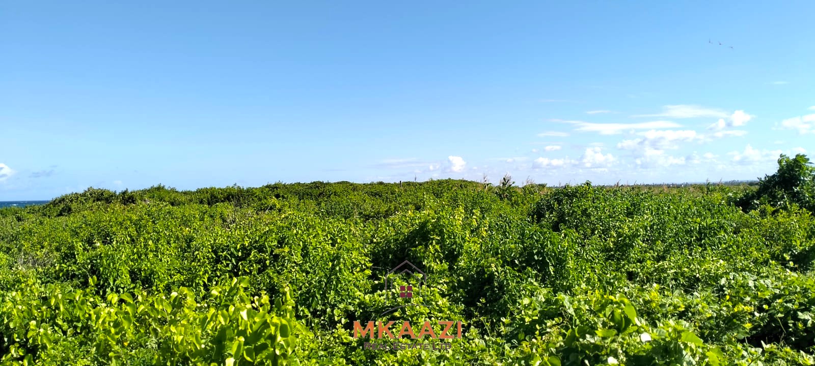 20-acre beachfront land for sale in Chumani featuring sandy beach access, gated and walled boundaries, coral bedrock foundation, and premium investment potential.