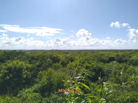 20-acre beachfront land for sale in Chumani featuring sandy beach access, gated and walled boundaries, coral bedrock foundation, and premium investment potential.