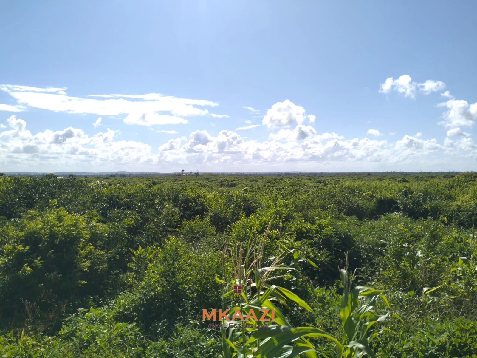20-acre beachfront land for sale in Chumani featuring sandy beach access, gated and walled boundaries, coral bedrock foundation, and premium investment potential.