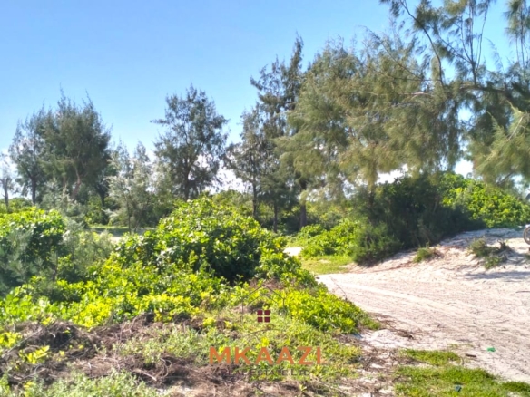 35-acre beachfront land for sale in Chumani featuring pristine white sandy beaches, panoramic ocean views, freehold title, and exceptional investment potential.