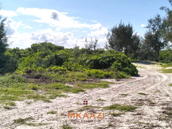 35-acre beachfront land for sale in Chumani featuring pristine white sandy beaches, panoramic ocean views, freehold title, and exceptional investment potential.