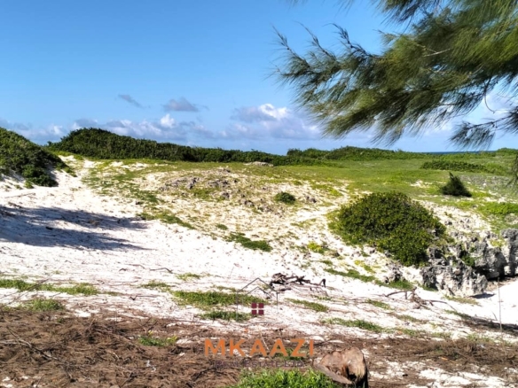 35-acre beachfront land for sale in Chumani featuring pristine white sandy beaches, panoramic ocean views, freehold title, and exceptional investment potential.