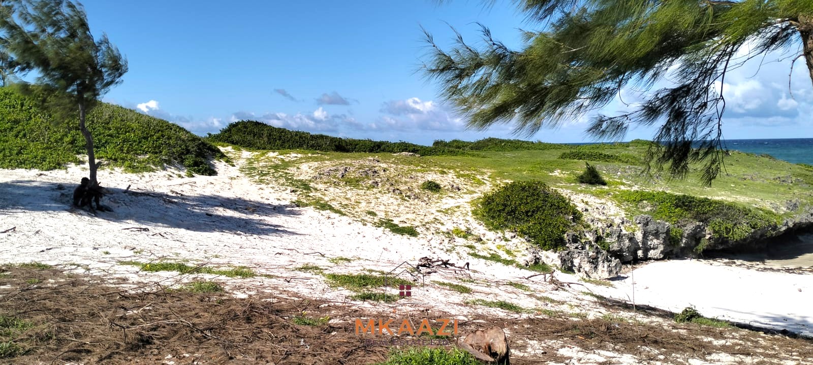 35 Acres Beachfront Land for Sale in Chumani 35-acre beachfront land for sale in Chumani featuring pristine white sandy beaches, panoramic ocean views, freehold title, and exceptional investment potential.
