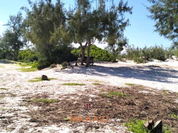 35-acre beachfront land for sale in Chumani featuring pristine white sandy beaches, panoramic ocean views, freehold title, and exceptional investment potential.